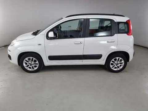 Annonce FIAT PANDA Essence 2020 d'occasion 