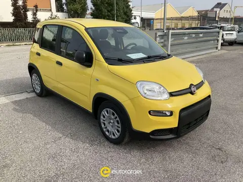 Annonce FIAT PANDA Hybride 2024 d'occasion 