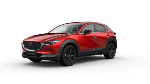 Annonce MAZDA CX-30 Essence 2024 d'occasion 