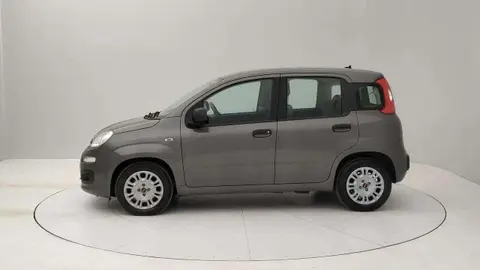 Annonce FIAT PANDA Hybride 2021 d'occasion 