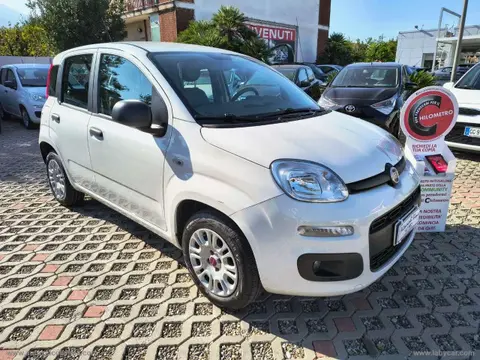 Used FIAT PANDA Petrol 2019 Ad Italy