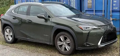 Used LEXUS UX Hybrid 2019 Ad 