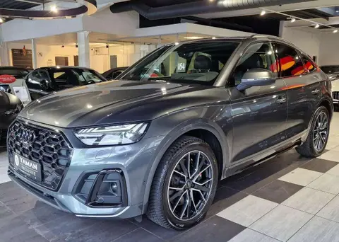 Annonce AUDI SQ5 Diesel 2024 d'occasion 