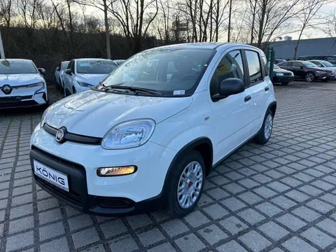 Used FIAT PANDA Petrol 2024 Ad 