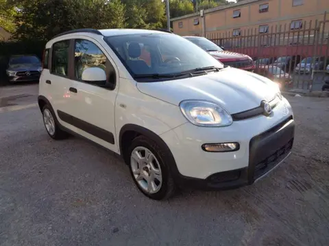 Used FIAT PANDA Hybrid 2022 Ad 