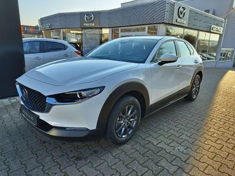 Annonce MAZDA CX-30 Hybride 2024 d'occasion 