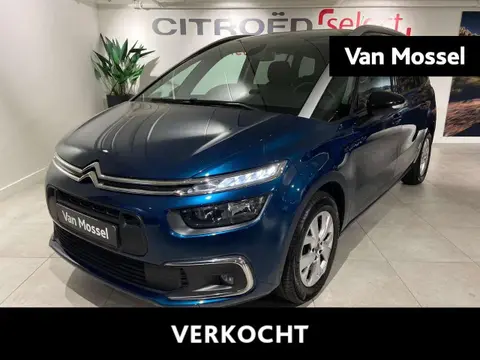 Annonce CITROEN C4 Essence 2022 d'occasion 