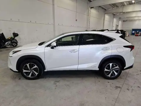 Used LEXUS NX Hybrid 2019 Ad 