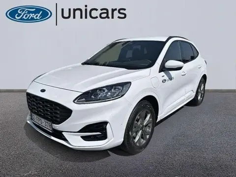 Used FORD KUGA Not specified 2024 Ad 