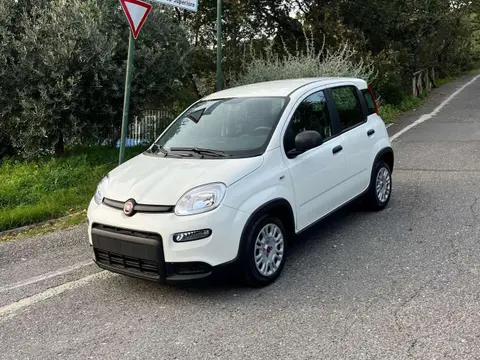 Annonce FIAT PANDA Hybride 2024 d'occasion 