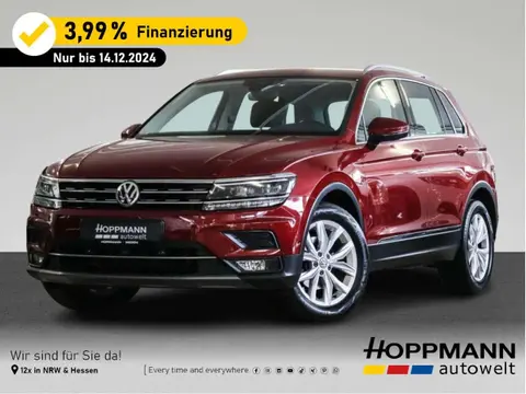 Annonce VOLKSWAGEN TIGUAN Diesel 2019 d'occasion 