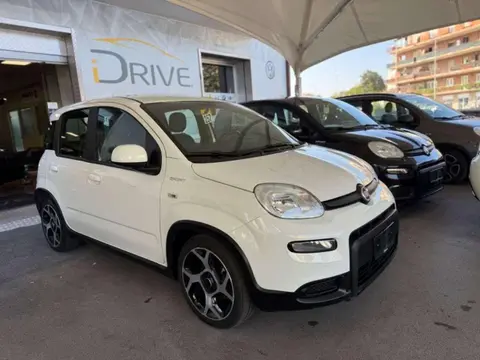 Used FIAT PANDA Petrol 2022 Ad 