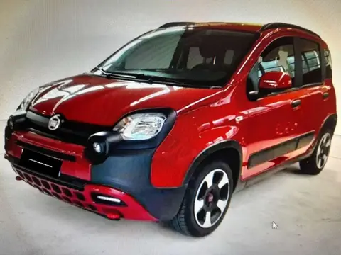 Used FIAT PANDA Hybrid 2024 Ad 