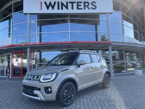 Annonce SUZUKI IGNIS Essence 2024 d'occasion 