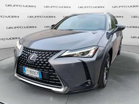 Used LEXUS UX Hybrid 2019 Ad 