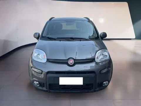 Used FIAT PANDA Hybrid 2023 Ad 