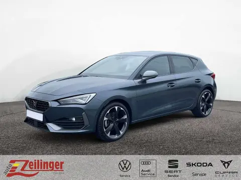 Used CUPRA LEON Petrol 2023 Ad 