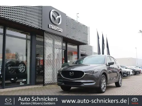 Used MAZDA CX-5 Diesel 2021 Ad 