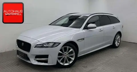 Used JAGUAR XF Diesel 2019 Ad 