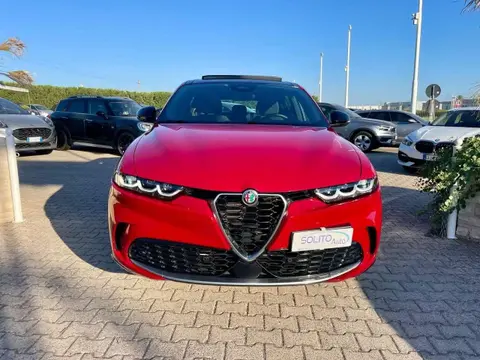 Annonce ALFA ROMEO TONALE Diesel 2023 d'occasion 