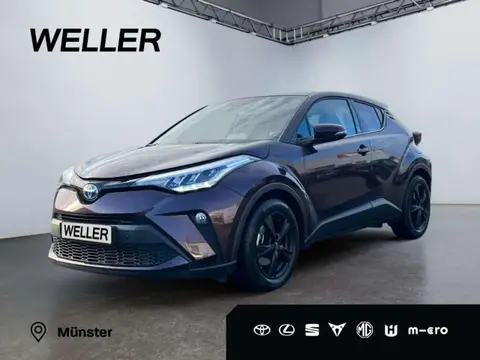 Used TOYOTA C-HR Hybrid 2023 Ad 