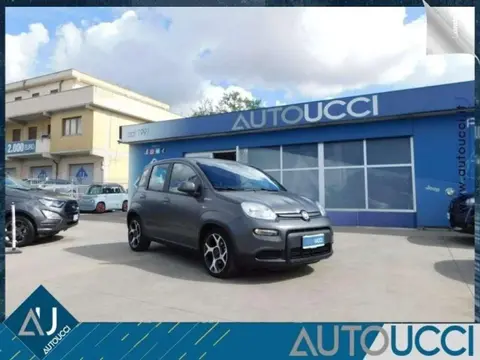 Annonce FIAT PANDA Hybride 2021 d'occasion 