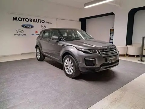 Annonce LAND ROVER RANGE ROVER EVOQUE Diesel 2019 d'occasion 