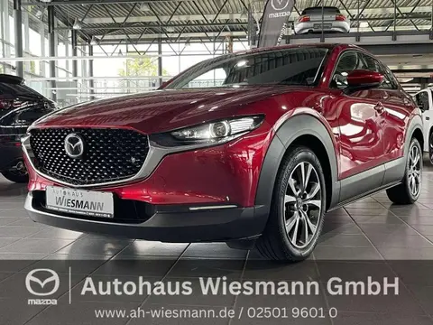 Annonce MAZDA CX-30 Essence 2021 d'occasion Allemagne