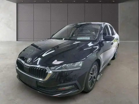 Annonce SKODA OCTAVIA Diesel 2021 d'occasion 