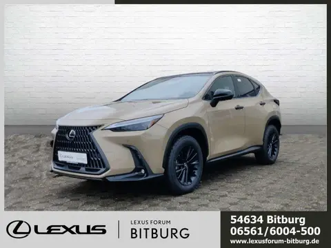 Used LEXUS NX Hybrid 2024 Ad 