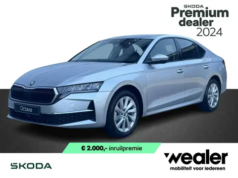 Used SKODA OCTAVIA Petrol 2024 Ad 