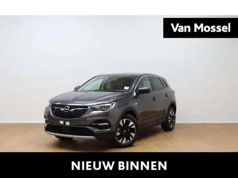 Used OPEL GRANDLAND Petrol 2021 Ad 