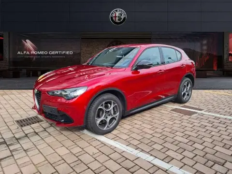 Used ALFA ROMEO STELVIO Diesel 2024 Ad 