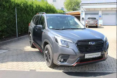 Used SUBARU FORESTER Petrol 2023 Ad 