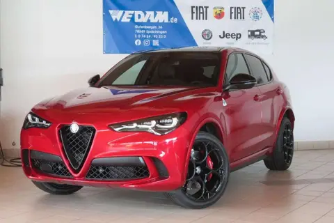 Used ALFA ROMEO STELVIO Petrol 2024 Ad 