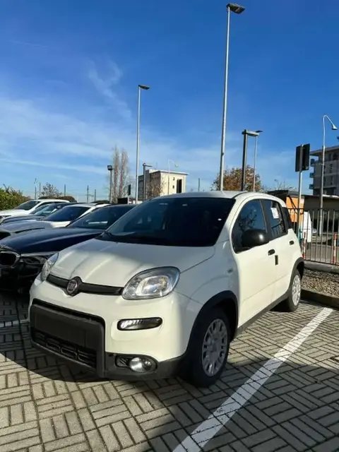 Annonce FIAT PANDA Hybride 2023 d'occasion 