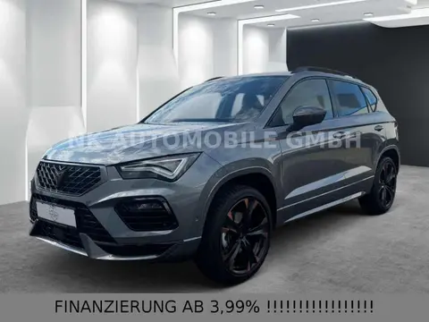 Annonce CUPRA ATECA Essence 2024 d'occasion 