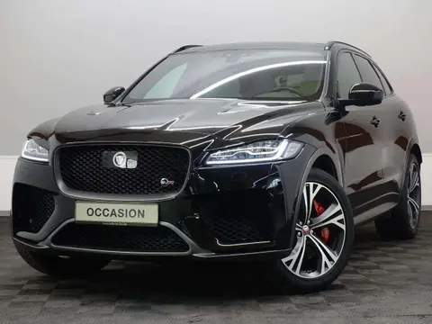 Used JAGUAR F-PACE Petrol 2019 Ad 