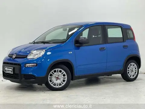 Annonce FIAT PANDA Essence 2024 d'occasion 