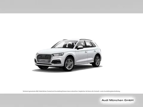 Used AUDI Q5 Hybrid 2021 Ad 