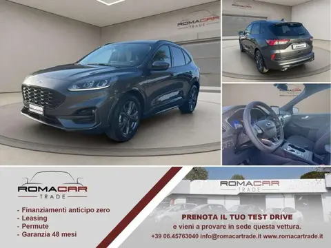 Used FORD KUGA Diesel 2023 Ad 