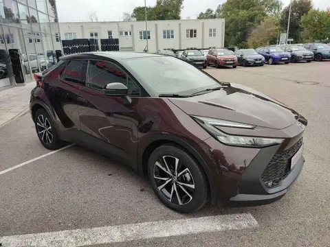 Used TOYOTA C-HR Hybrid 2024 Ad 