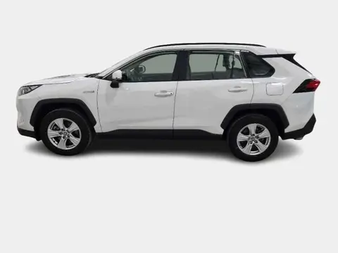 Used TOYOTA RAV4 Hybrid 2021 Ad 