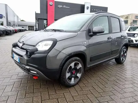 Used FIAT PANDA Hybrid 2023 Ad 