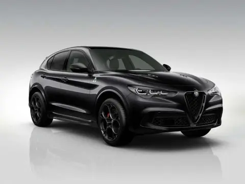 Annonce ALFA ROMEO STELVIO Essence 2024 d'occasion 