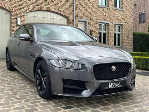 Used JAGUAR XF Diesel 2018 Ad 