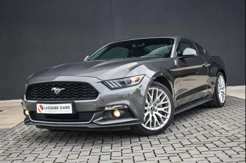 Used FORD MUSTANG Petrol 2017 Ad 