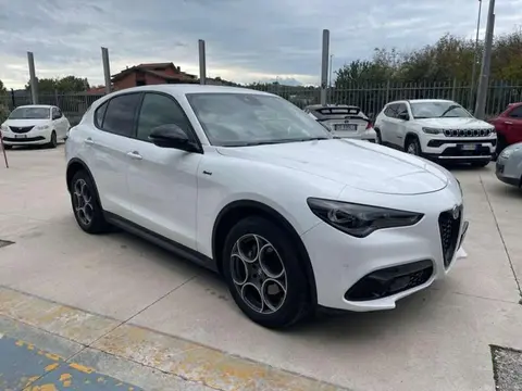 Annonce ALFA ROMEO STELVIO Diesel 2023 d'occasion 