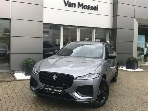 Annonce JAGUAR F-PACE Hybride 2023 d'occasion 