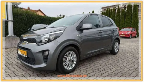 Annonce KIA PICANTO Essence 2021 d'occasion 